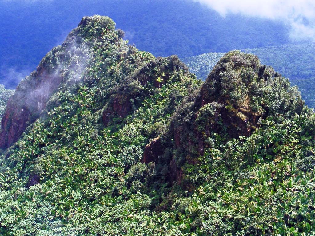 montaña