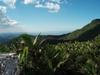 Thumb100x75 Thumb100x75